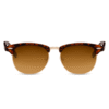 Lentes de Sol para Hombre Clubmaster Clásicos Café