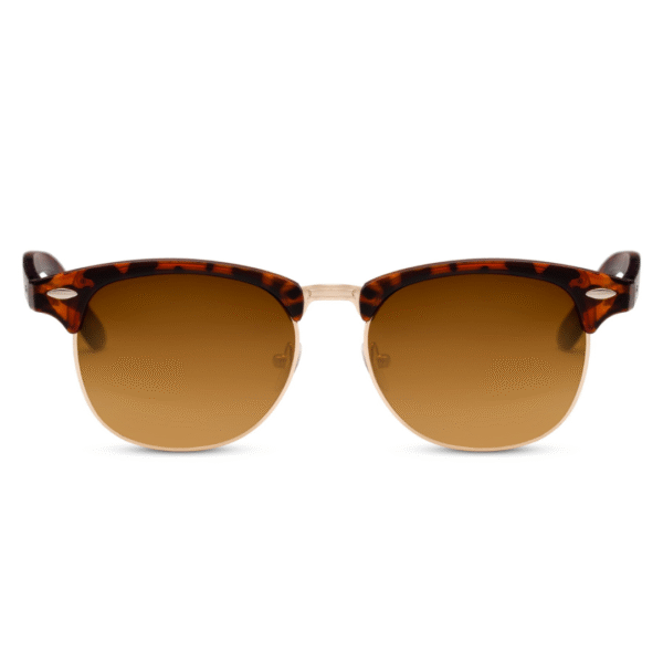 Lentes de Sol para Hombre Clubmaster Clásicos Café
