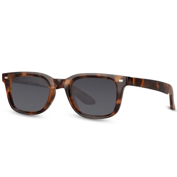 Lentes de Sol para Hombre Cuadrados Café y Negro