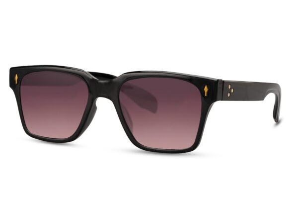 Lentes de Sol Wayfarer Negro
