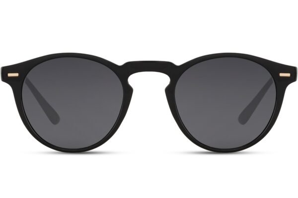Lentes de Sol Redondos Clásicos Negro