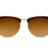 Lentes de Sol Clubmaster Clásicos Café