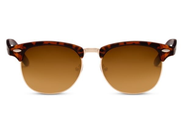 Lentes de Sol Clubmaster Clásicos Café